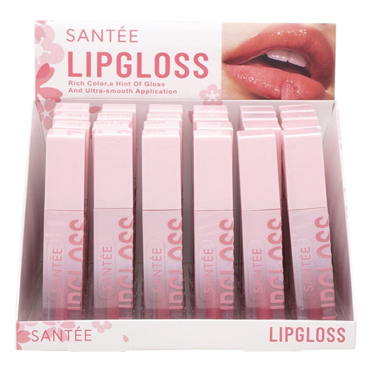 24PCS DISPLAY SANTEE LIPGLOSS #4206