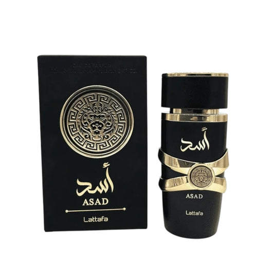 DARK FULL SIZE DUPE PERFUME