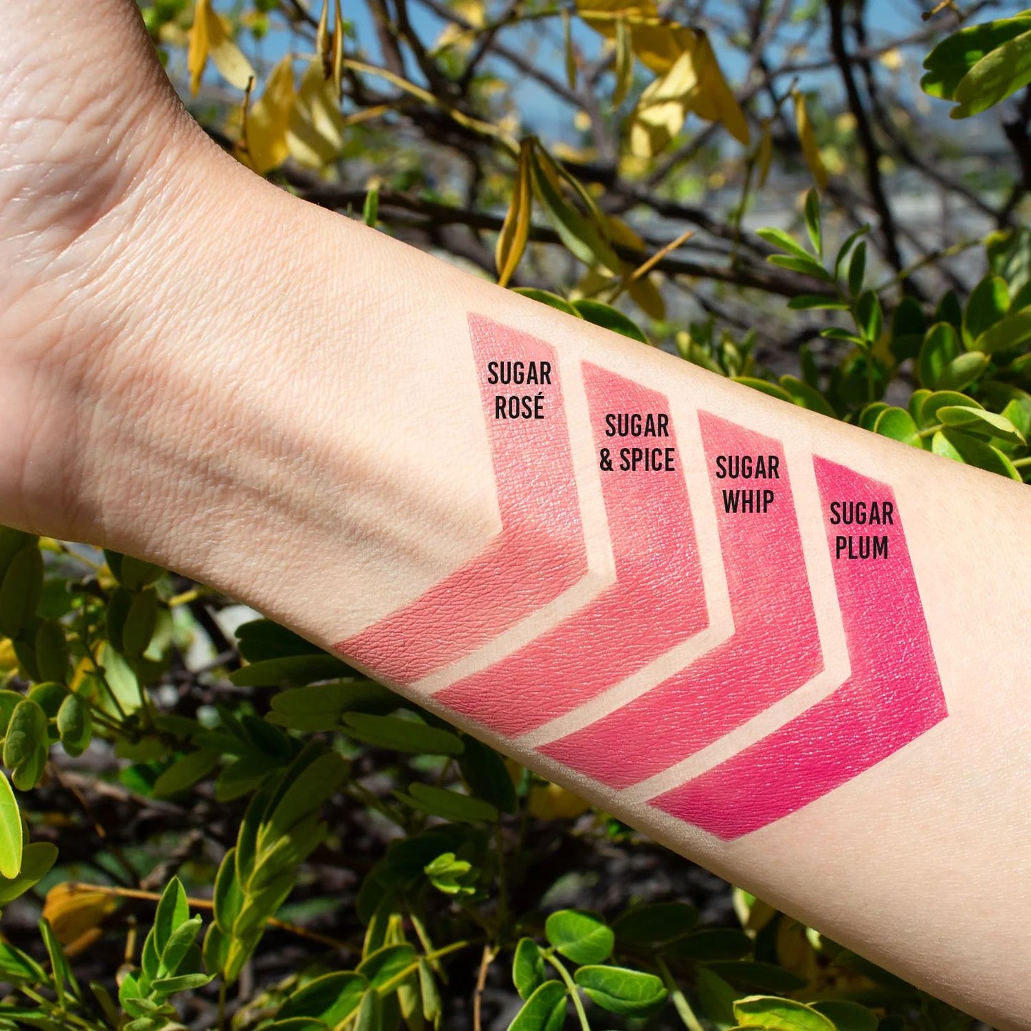 24 PCS NOOD BORA SUGAR POP BLUSH THAT POPS